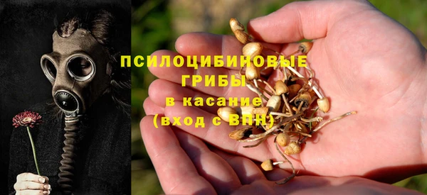 МДМА Белокуриха