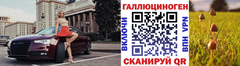 Галлюциногенные грибы Cubensis  Шуя 